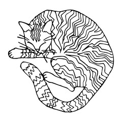 Vector isolated element. Tabby cat, sleeping cat. Hand drawn doodle. Logo design 