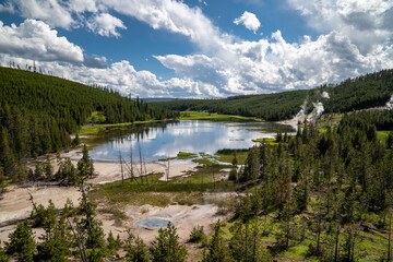 Fototapeta na wymiar Pristine view of Nymph Lake in Yellowstone National Park, featuring lodgepole pines and thermal hot springs