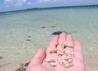 She sells Sea Shells