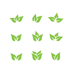 leaves icon vector  design illustration