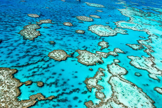 The Great Barrier Reef In Queensland, Australia.