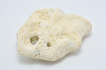 White beach coral stone