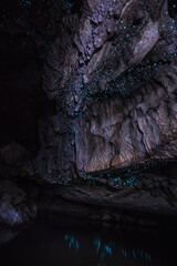 glowworm cave, new zealand