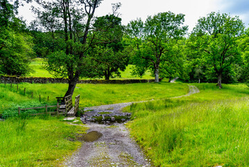 Walking path in Cumbria, UK.