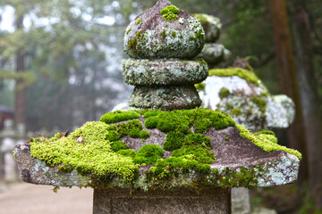 The Kasuga-Taisha Shrine or Kasuga Grand Shrine in Nara, Kansai, Japan.