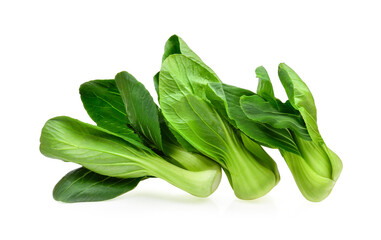 Chinese cabbage on white background