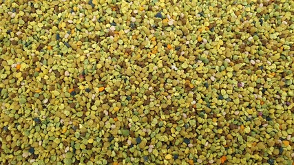 green bee pollen 