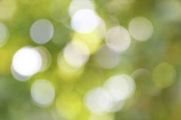 Obraz premium abstract nature bokeh background