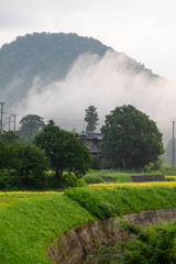 山と朝靄と田園と農家