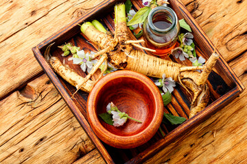 Althaea root in herbal medicine