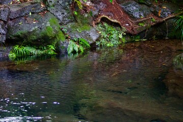 川の流れ