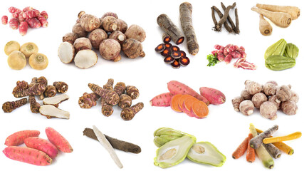 group of ancient vegetables