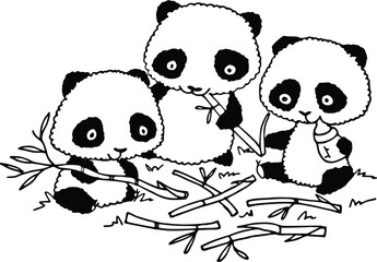 vector panda cartoon black and what