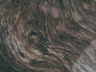 Old pine wood texture
