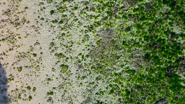 Tropical sea coral reef background. Geger Beach, Indonesia. Drone view.