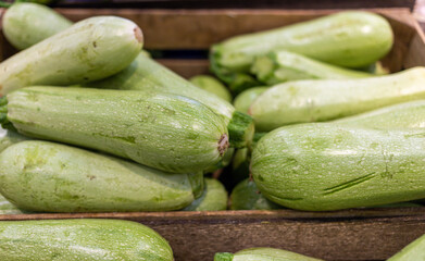 fresh courgettes in large quantities lie in a wooden box. High quality photo