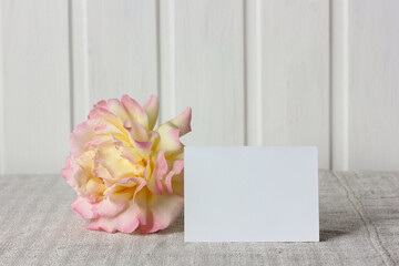 empty business card and a rose. mockup, scene creator.