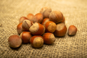 Hazelnut scattered on the background of burlap with a rough texture. Close up.