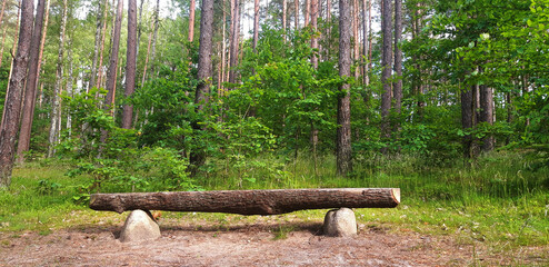 Simple bench made of a tree log resting on two large stones in the summer woods 