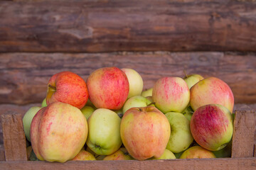 Ripe apples on a wooden wall background.