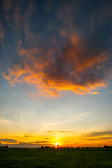 VERTICAL  Fiery orange sunset sky. Beautiful dramatic sky.sunset in Thailand.Amazing dark cloud over rice field.
