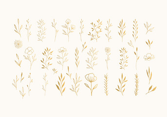 Set of golden herbs, leaves, flowers with stems, branches. Vector hand drawn illustration. - 365615394