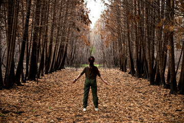 Destruction in the eyes of future generations. Sadness and pain. Black forest after the fire. Destruction of nature and climate change