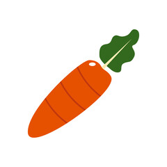 carrot vector design template illustration
