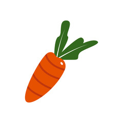 carrot vector design template illustration