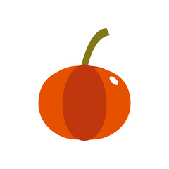 pumpkin vector design template illustration