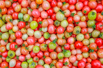 Colorful different kind tomato green and red nature background