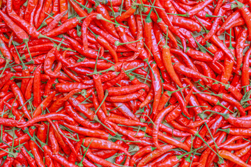 Fototapeta premium Red hot chillis nature background