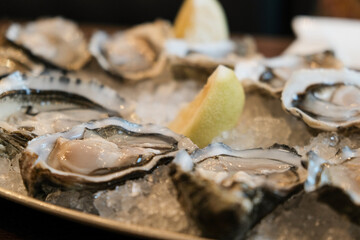 Oyster set, in ice crumbs with lemon slices.