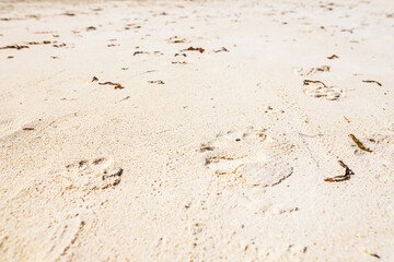 Sand of Zanzibar