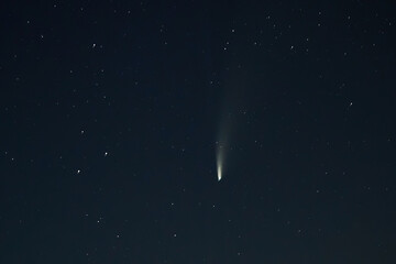 New comet Neowise C / 2020 F3 soars between the stars in the dark night sky. Space objects and a...