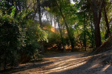 Naklejka premium Todos los derechos reservados