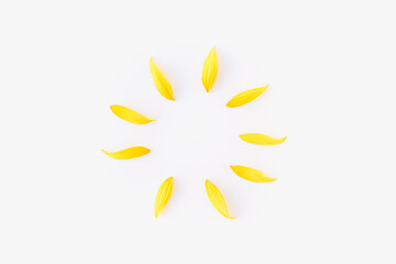sunflower petals on white background, sunflower, yellow petals, background with yellow petals