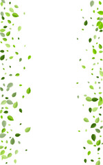 Forest Foliage Blur Vector Concept. Tea Leaf 