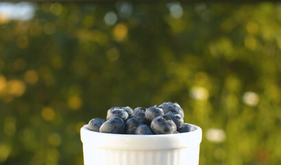 Blueberries in the cup outdoors