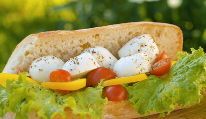 Sandwich with mozzarella tomato and lettuce