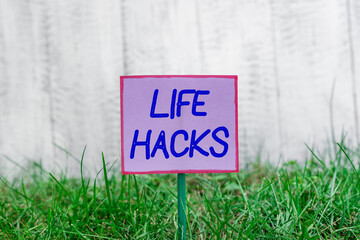 Text sign showing Life Hacks. Business photo text strategy or technique adopted to manage...