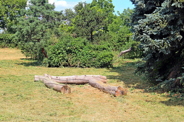 unexpected resting place in the botanical garden