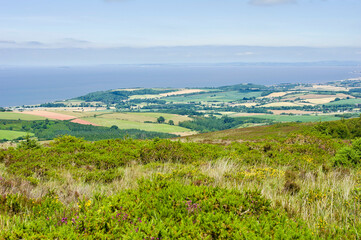 Fototapeta na wymiar View towards the Bristol channel from the Brendon Hills near Luxborough, Somerset, England