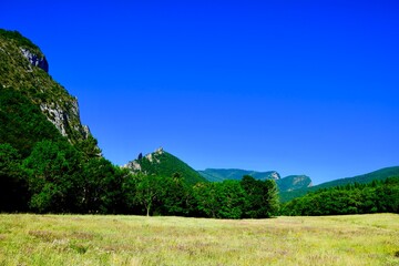 FORET DE SAOU DRÔME FRANCE
