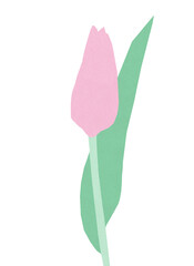 Tulip illustration on the white background. Paper cutout flower
