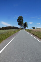 Straße zwischen Lothra und Drognitz