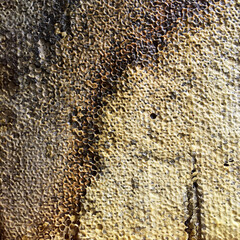hexagon structure is honeycomb from bee hive filled with golden honey