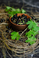 black currant in a clay plate