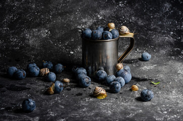 plums with snails on black background