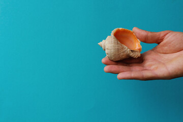 Seashell in male hand on a blue background. Concept - Vacation at sea.